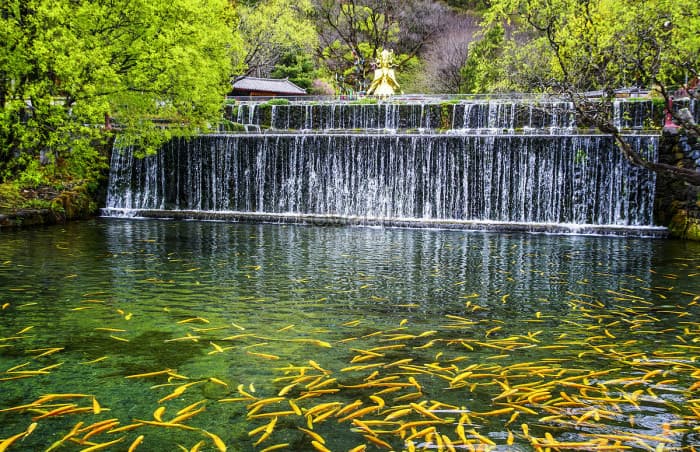 ngọc thủy trại, tour đại lý 30/4, tour du lịch lệ giang 30/4