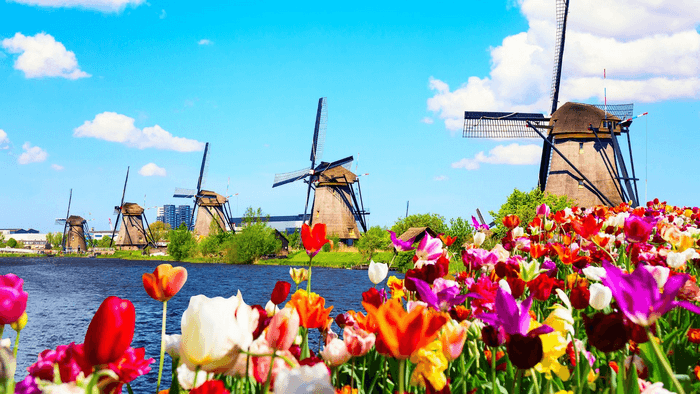 Làng Cối Xay Gió Kinderdijk,du lịch Hà Lan, tour châu âu 30/4