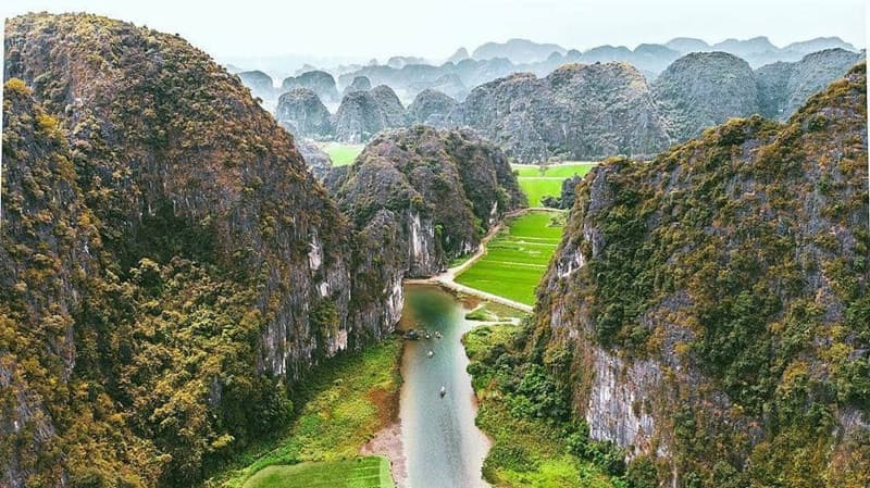bích động