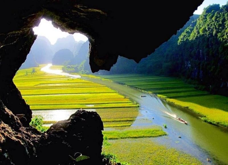 động thiên hương
