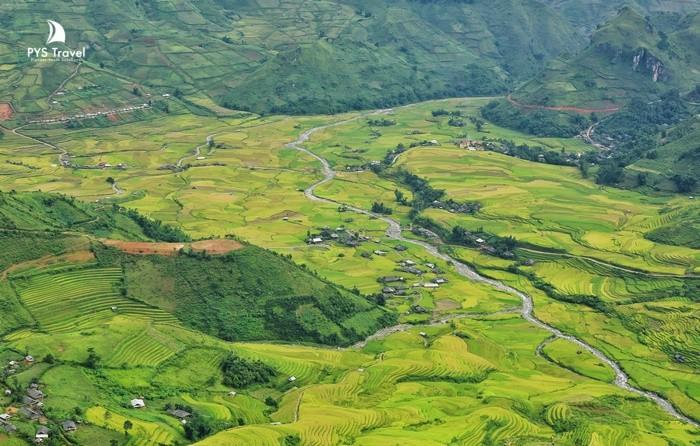 tú lệ mùa lúa chín