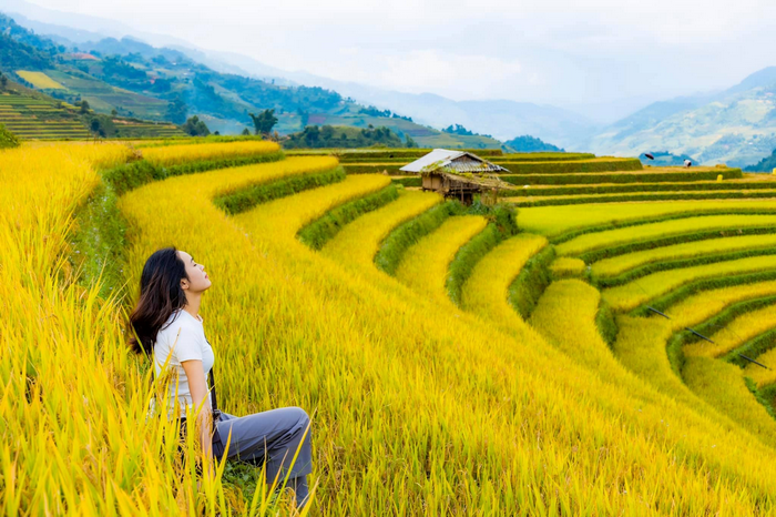 tú lệ yên bái