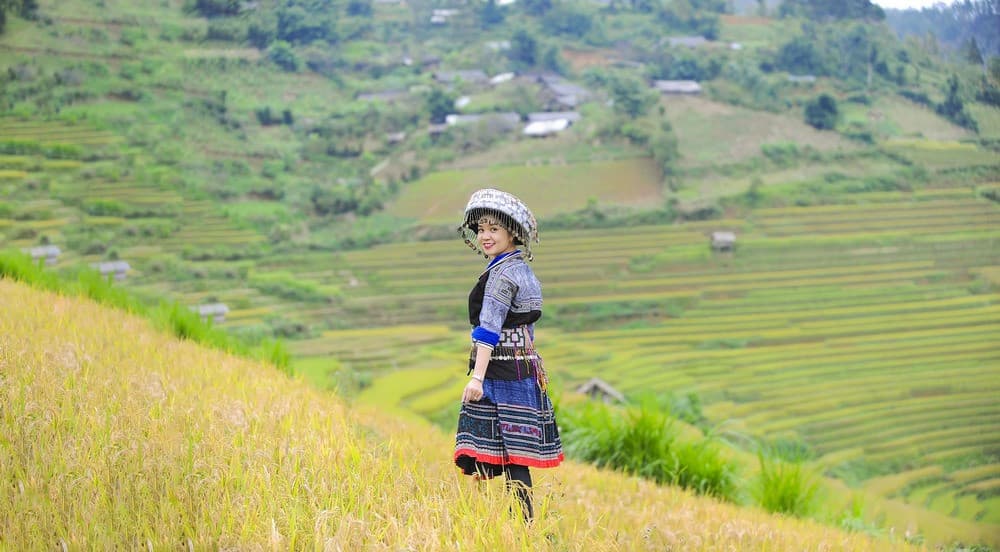 Những ruộng lúa trĩu bông ở Lìm Mông