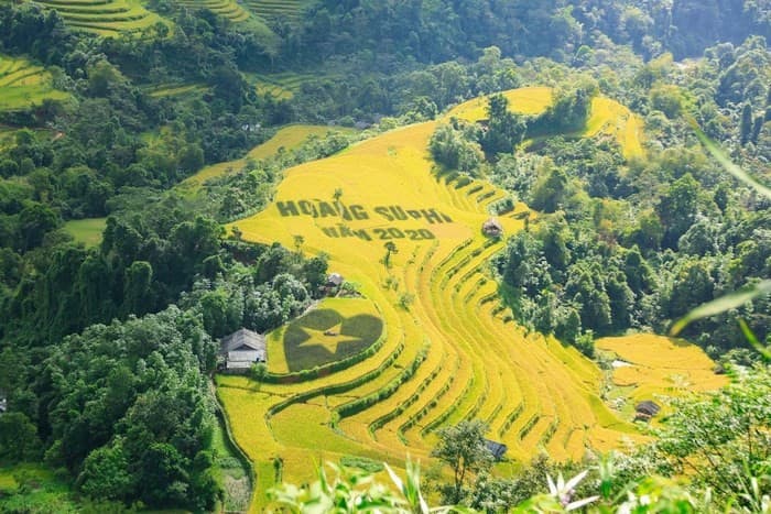 Ruộng bậc thang Nậm Ty 