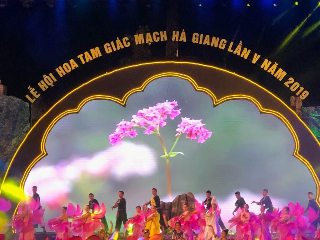 Lễ hội hoa Tam giác mạch Hà Giang năm 2019