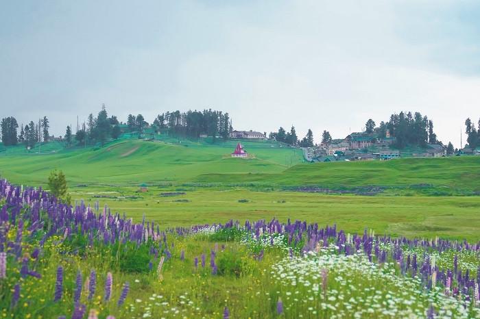 gulmarg