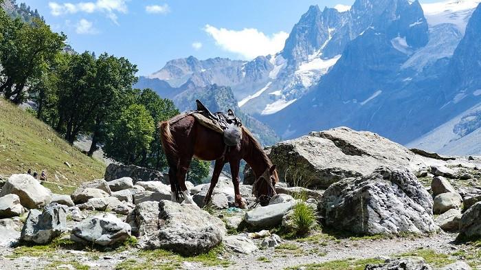 sonmarg