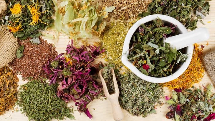 Các loại thảo mộc ayurveda