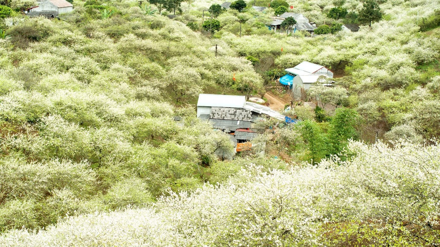 Thung lũng Mận Nà Ka