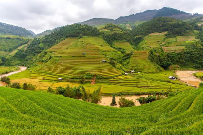 Mù Cang Chải