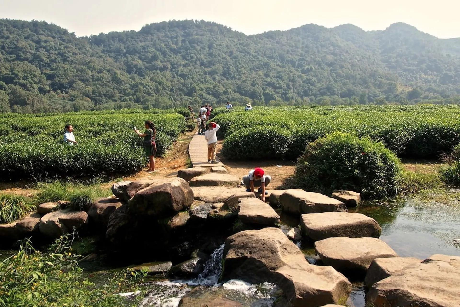 Bảo tàng trà Trung Quốc