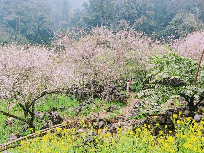 bản lóng luống mộc châu