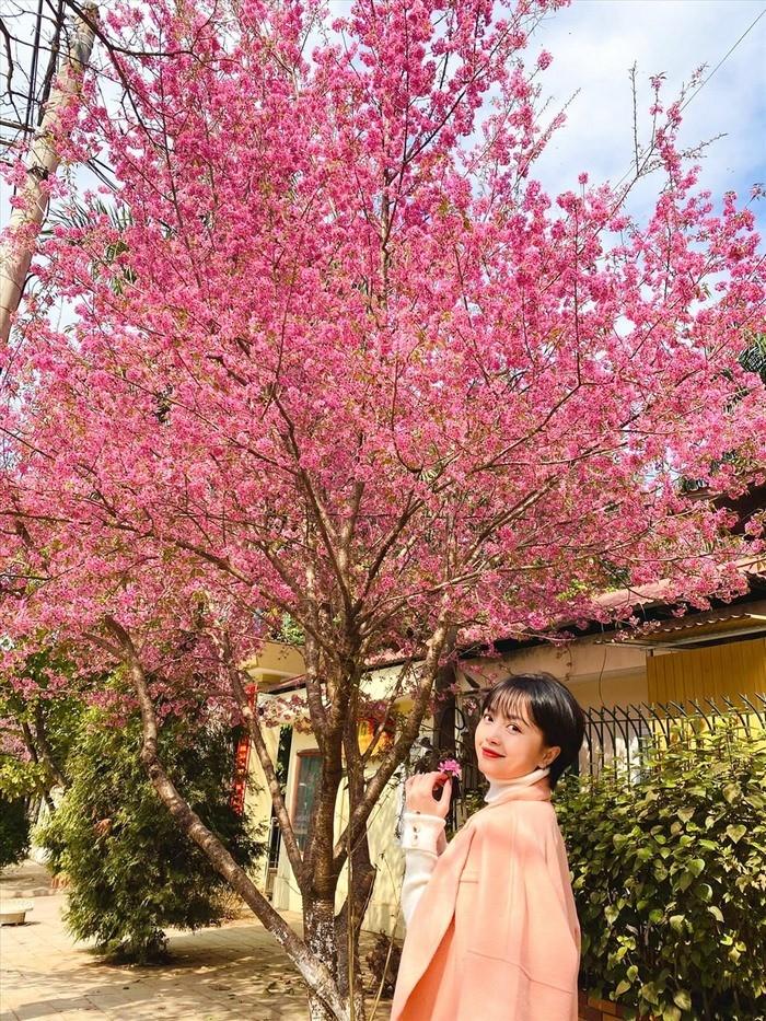 mộc châu