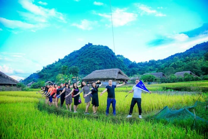 Cánh đồng lúa xanh ở hà giang