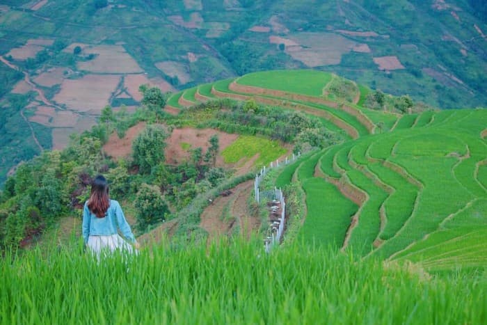 Ruộng bậc thang ở Tà Xùa tháng 7