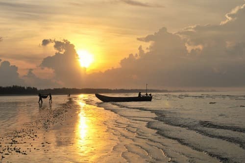 bình minh trên trà cổ