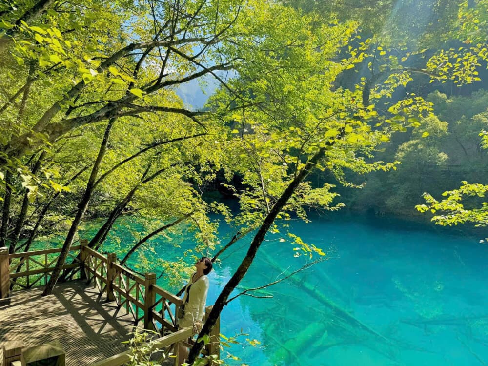 hồ ngũ sắc cửu trại câu