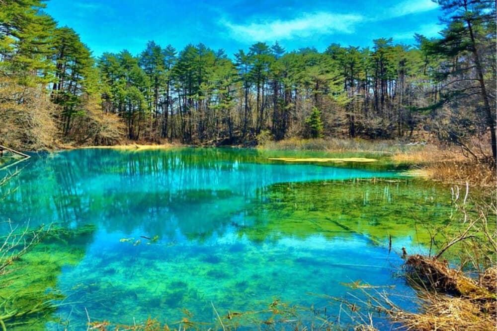 vẻ đẹp dưới lòng hồ ngũ sắc