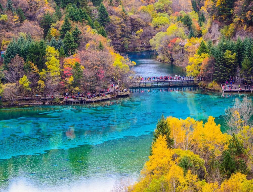 Du lịch cửu trại câu mùa nào