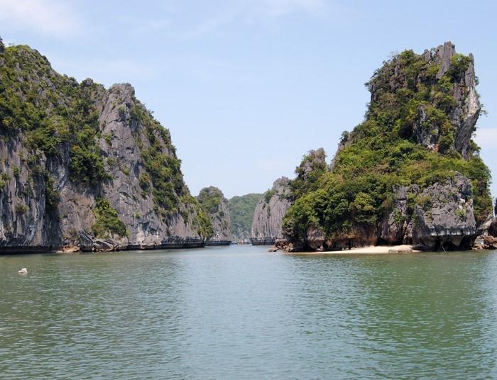 Vịnh Lan Hạ