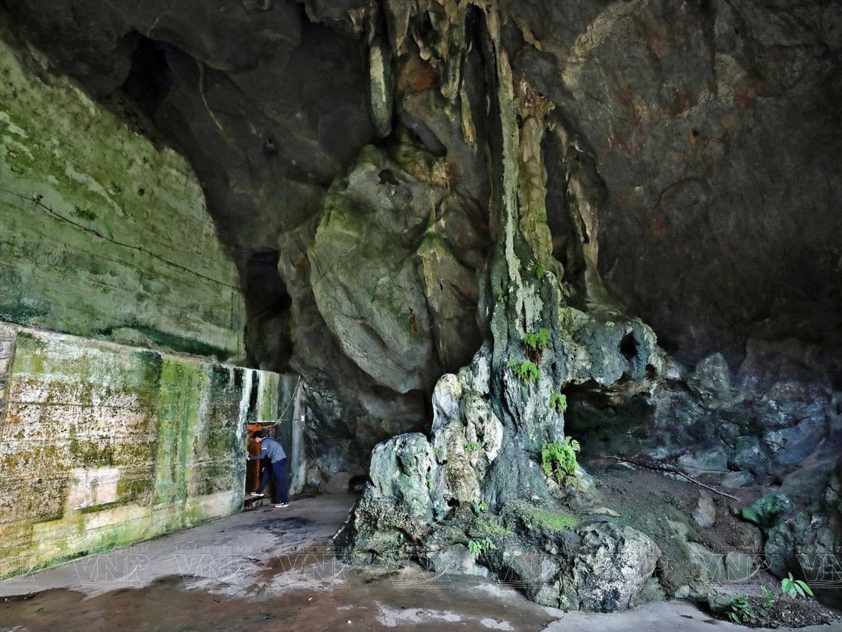 hang quân y
