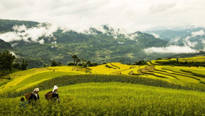 ruộng bậc thang Hồng Thái Na Hang