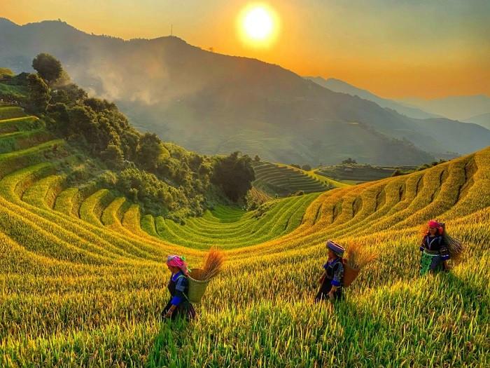 ruộng bậc thang tú lệ