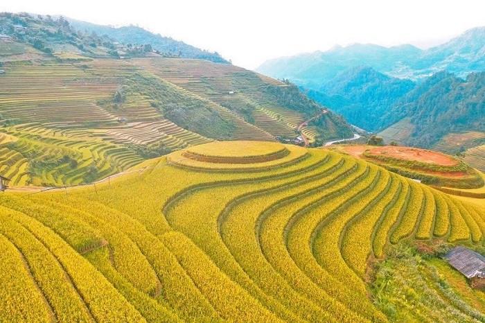 lưu ý 