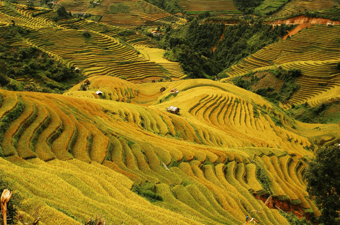 đèo khau phạ