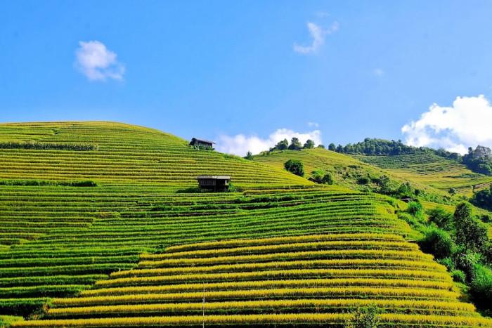 ruộng bậc thang La Pán Tẩn