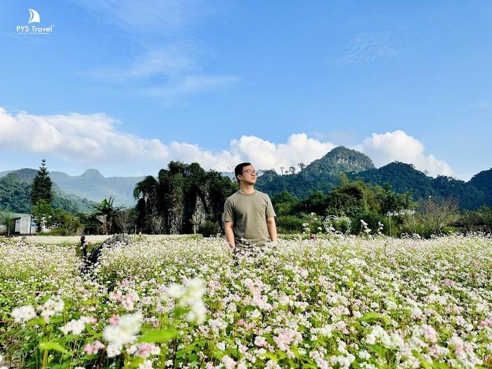 hoa tam giác mạch