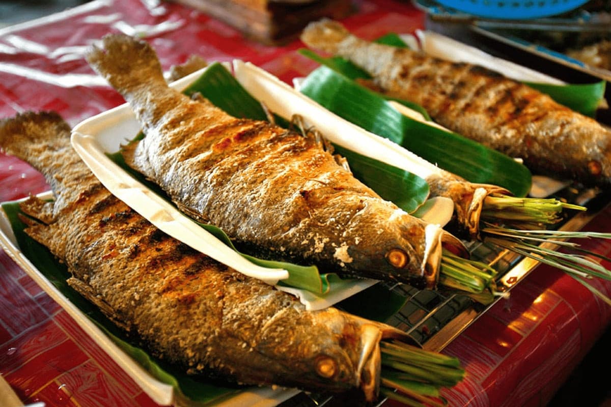 Cá Trầm Hương