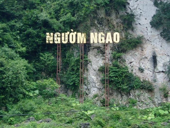 động ngườm ngao