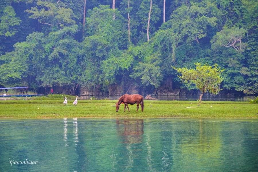 vườn quốc gia ba bể