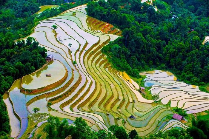 du lịch Hoàng su phì dịp 30/4