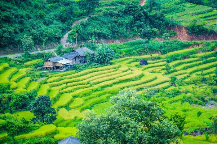Hoàng Su Phì