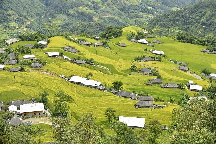 bản phùng