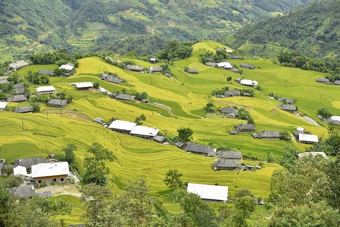 bản phùng