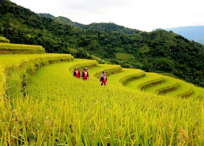 lễ hội ruộng bậc thang