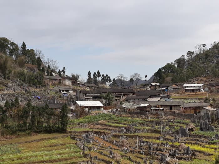 Lao Xa Sủng Là