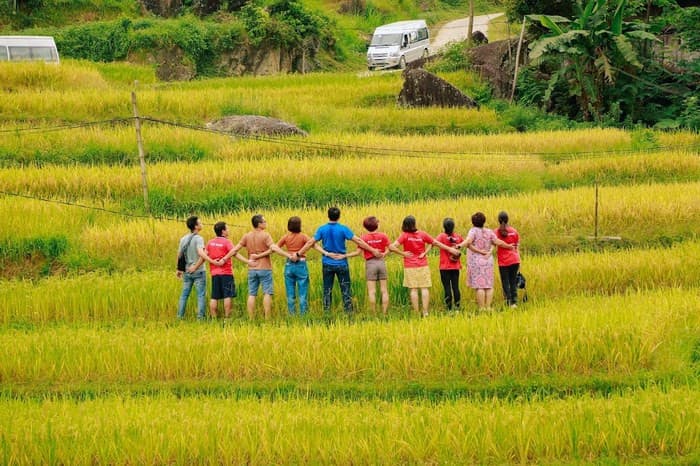 Hoàng Su Phì có nhiều địa điểm ngắm ruộng bậc thang đẹp