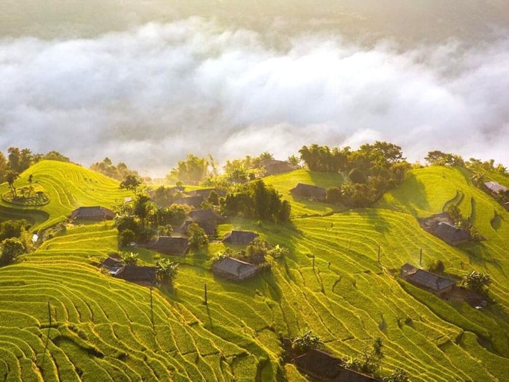 Ruộng bậc thang bản Phùng
