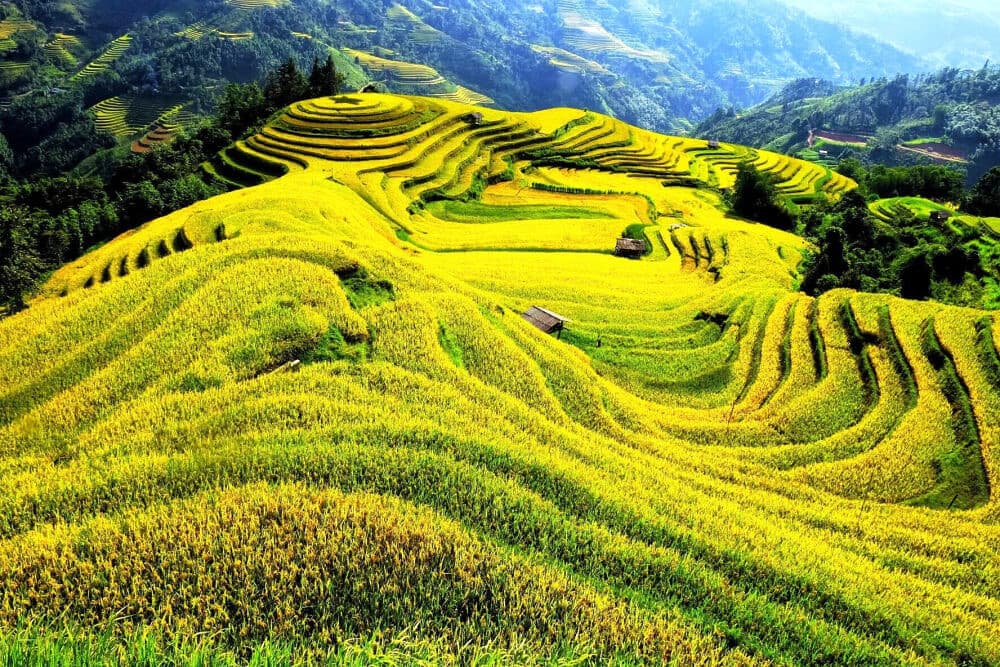 hoàng su phì tháng 10