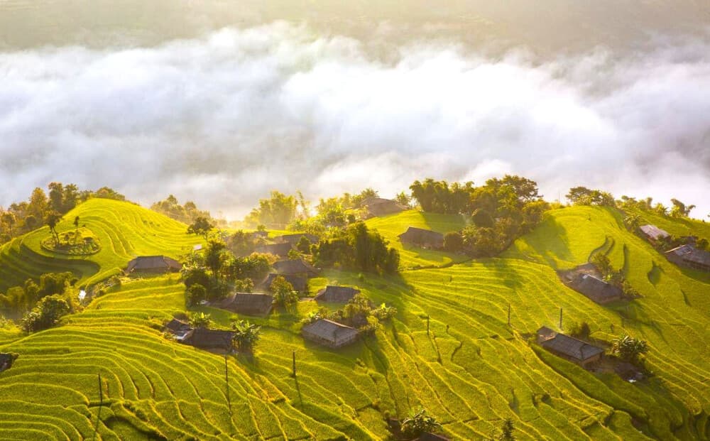 Khung cảnh lúa vàng dưới chân núi Tây Côn Lĩnh