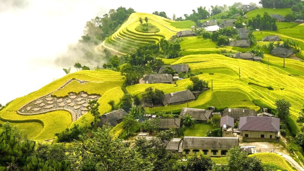 Ruộng bậc thang Bản Phùng