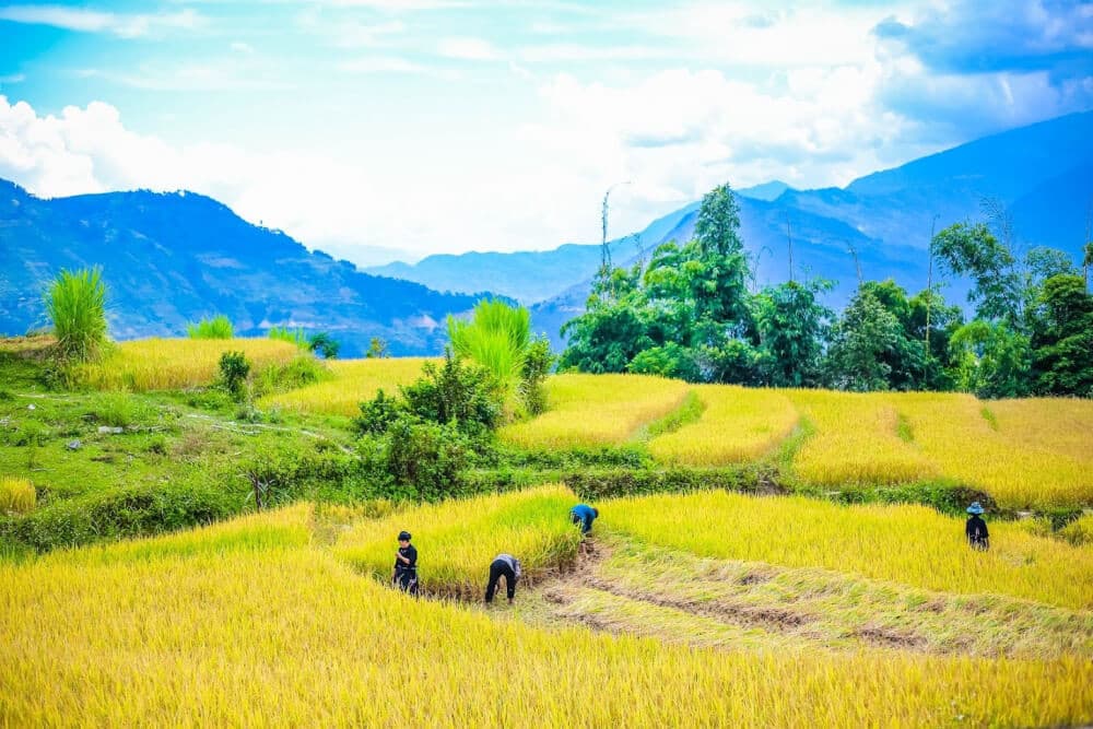 di chuyển đến hoàng su phì