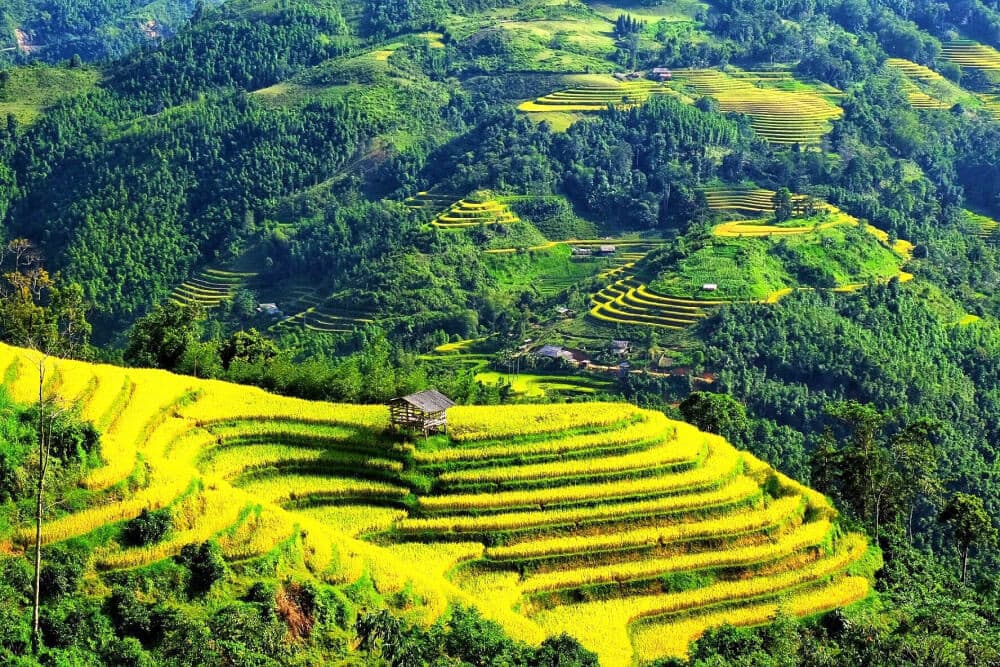 chiêm ngưỡng hoàng su phì tháng 10