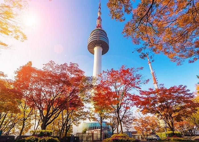 Ngọn tháp Namsan nhìn từ xa