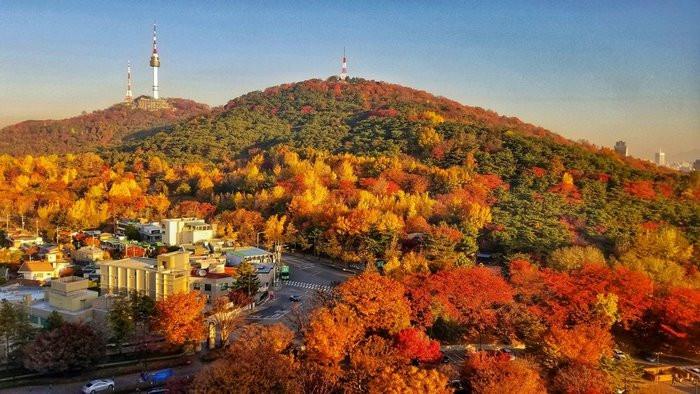 Toàn cảnh núi Namsan nhìn từ trên cao