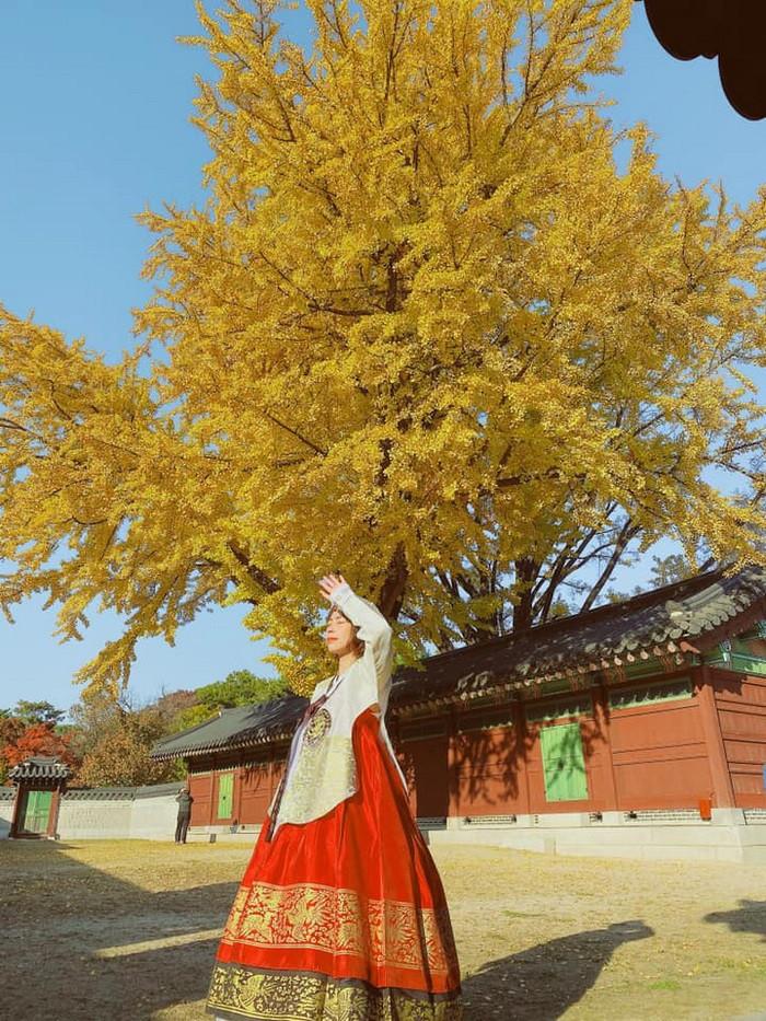 Du khách trải nghiệm mặc Hanbok khi tới Hàn vào mùa thu